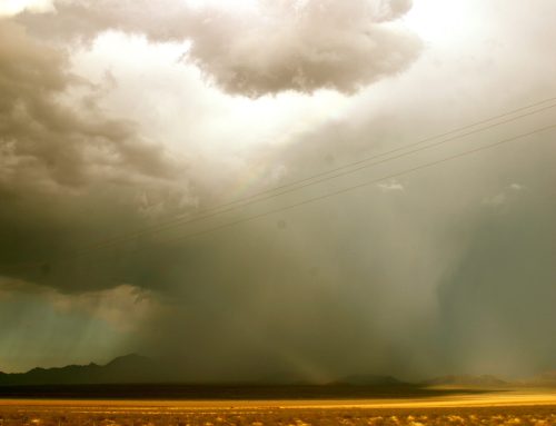 A Psychic Prediction for 2025