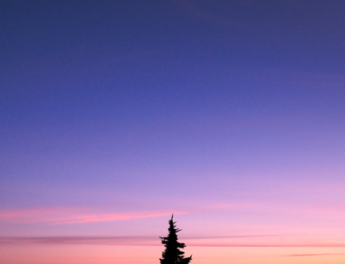 World Predictions That Came True 2015 – September 2016