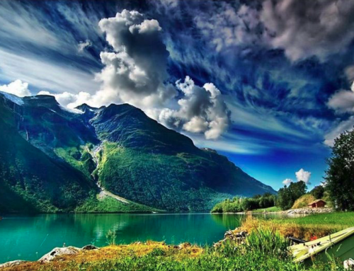 2016 World Predictions