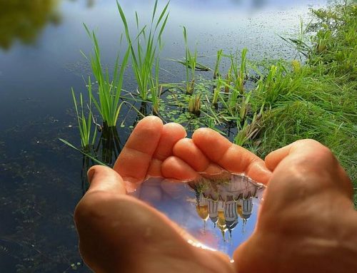 2019 Predictions that Came True