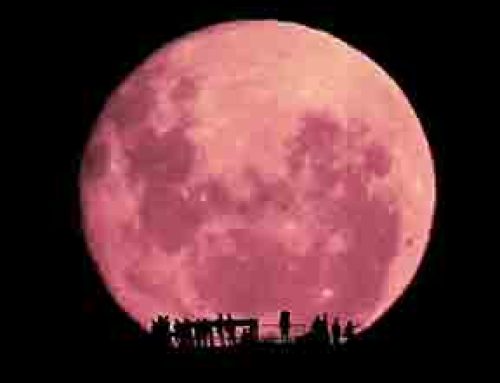 Why This Moon is Different