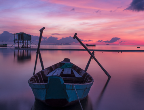 Spring Equinox and Aries New Moon – Time for Reflection and New Moon Spread