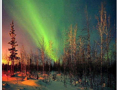 Psychic World Predictions 2015 & 2016