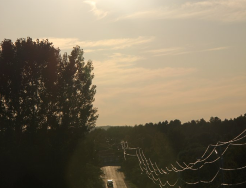 World Psychic Visions to End of Century