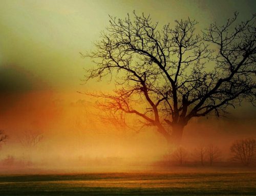 The Gift and the Pain of Being Psychic or Intuitive