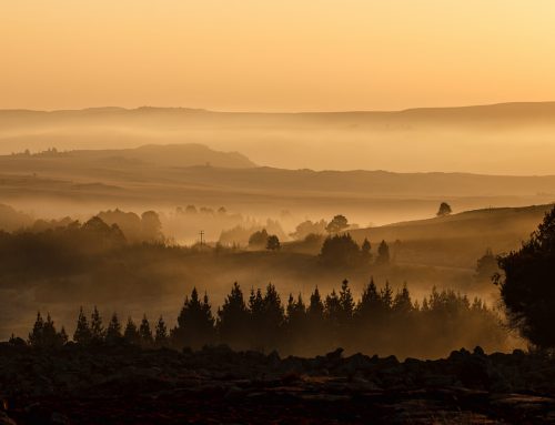 Climate Prediction Permanent Drought in the Heartland
